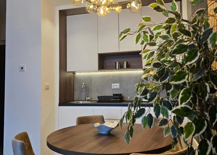 Luxury Sim Titova Apartamento